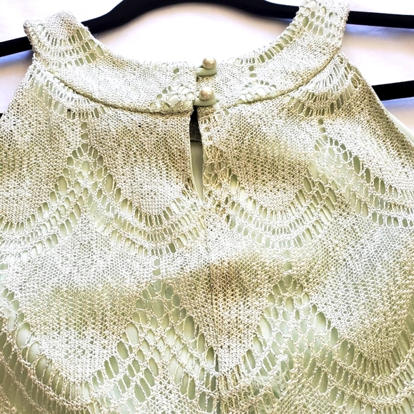 Jessica Green Metalic Ovelay Fringe Dress - Picture 4 of 6